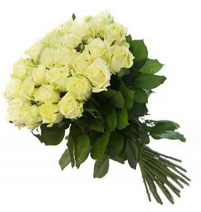 Rusya Çiçekçi Rusya için 25 Beyaz Gül