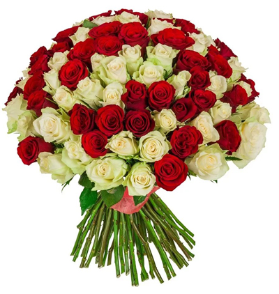  Rusya Çiçek Siparişi 101 Kırmızı ve Beyaz Güller