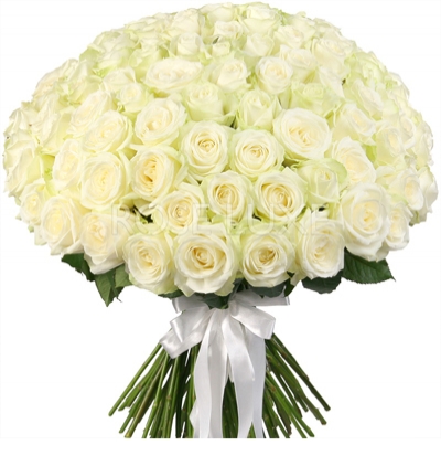  Rusya Çiçek Siparişi 101 Beyaz Güllerden Demet