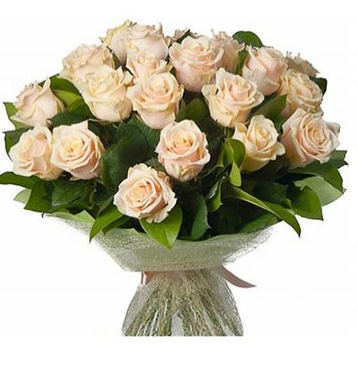 rusya 51 beyaz gül buketi Çiçeği & Ürünü Rusya 23 Krem Rengi Gül 