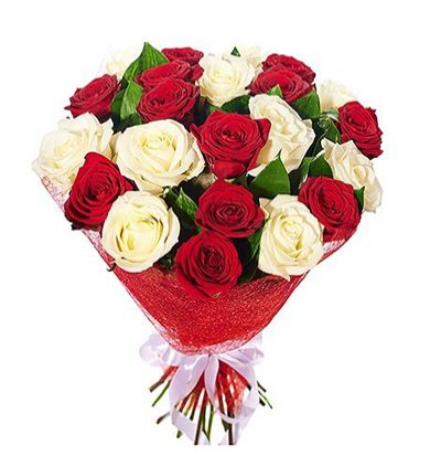 51 kırmızı beyaz güller Çiçeği & Ürünü Rusya 21 Kırmızı Beyaz Güller 