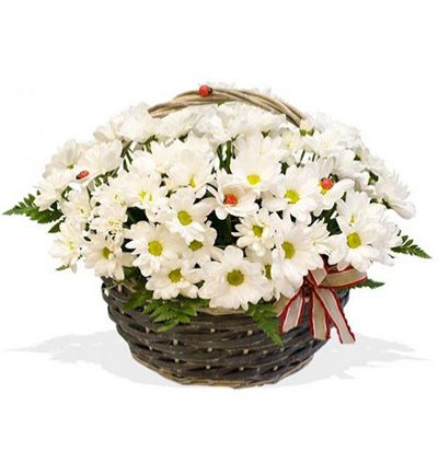 rusya mevsim Çiçekleri arajmanı Çiçeği & Ürünü Rusya Beyaz Çiçek Arajmanı 