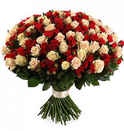51 kırmızı beyaz güller Çiçeği & Ürünü 101 Spray Güller 